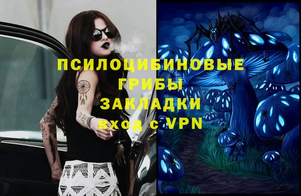 спиды Нея