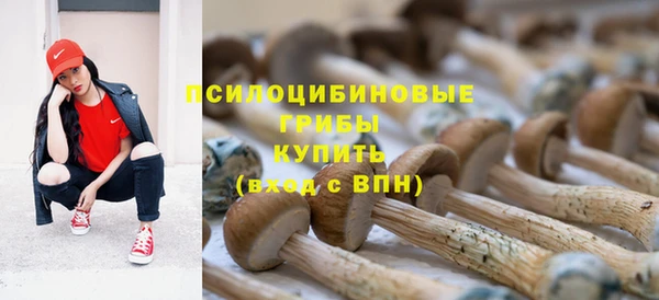 спиды Нея