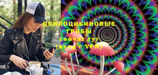 прущая мука Болотное