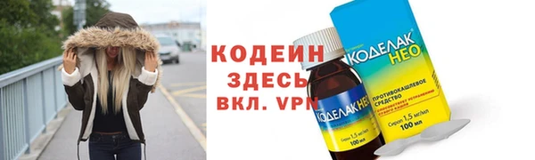 гидра Новозыбков