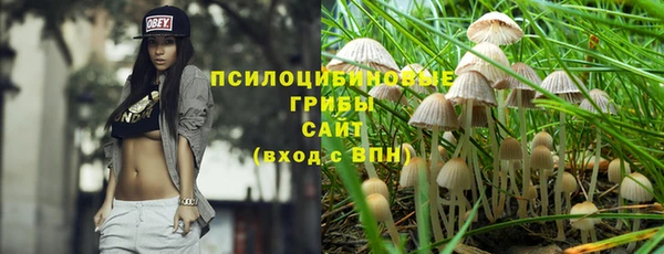 гидра Новозыбков