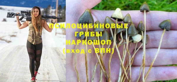 a pvp Новокубанск