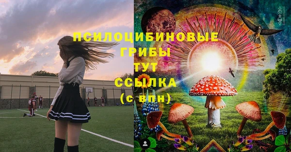 спиды Нея